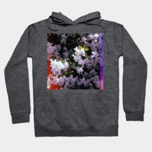 Beautiful White Flowers. California Hoodie